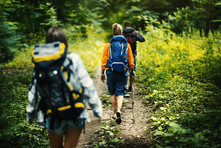 Wandern-Main-Kinzig-Kreis